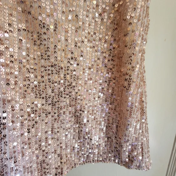 CLEARANCE LOFT Sequin Sleeveless Top - Rose Gold - Picture 6 of 13